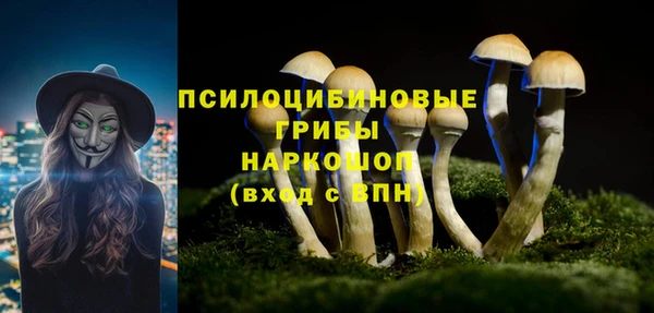 ешки Новокубанск