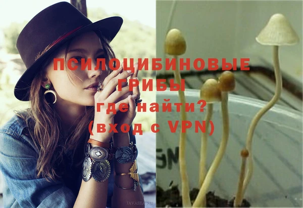 стаф Фёдоровский