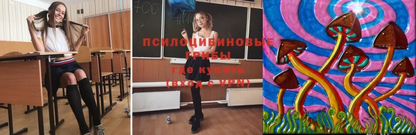 ешки Новокубанск