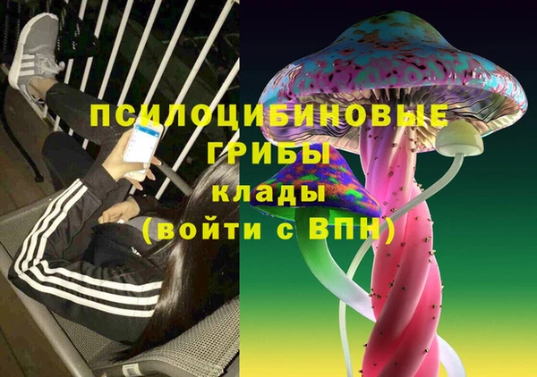 стафф Вязники