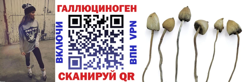 Галлюциногенные грибы Psilocybine cubensis  MEGA сайт  мориарти состав  Кадников 